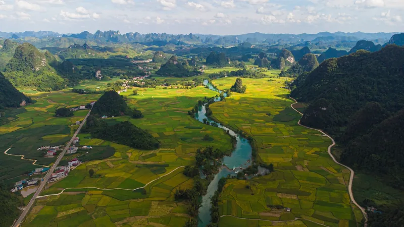 Toàn cảnh trên cao dòng sông xanh ngọc uốn lượn qua ruộng lúa xanh giữa những núi đá vôi ở Cao Bằng.