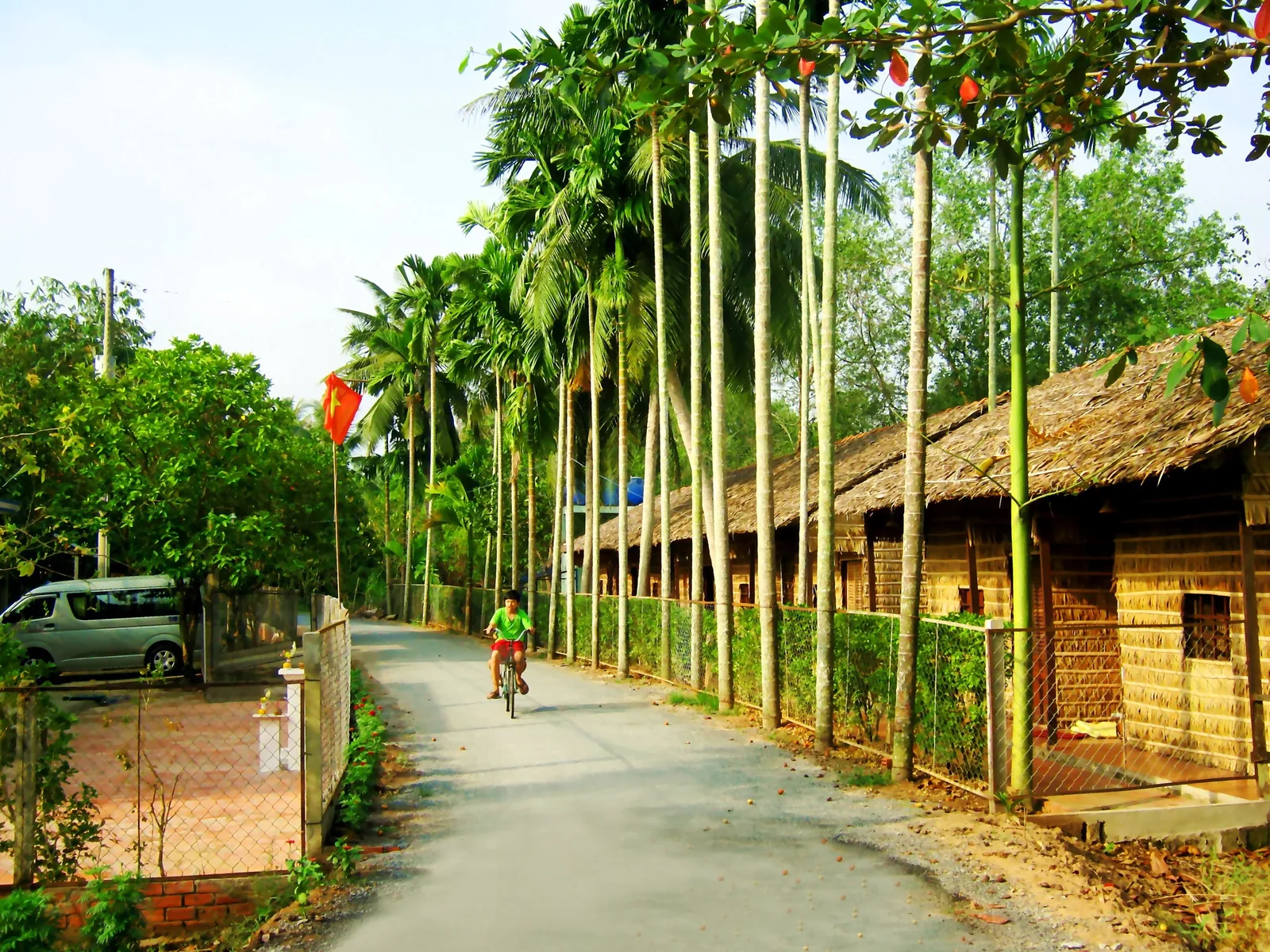 Một người đi xe đạp trên con đường yên tĩnh rợp bóng cau và nhà mái lá ở Cái Răng, Cần Thơ.