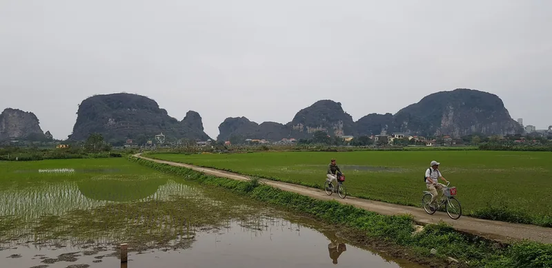 Người đi xe đạp trên con đường giữa ruộng lúa với núi đá vôi phía sau gần Tam Cốc, Ninh Bình.