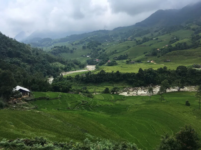 Ruộng bậc thang xanh mướt và dòng suối uốn lượn qua thung lũng Mường Hoa gần Sa Pa dưới núi mờ sương.