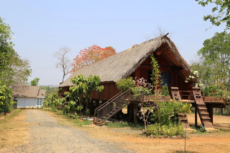 Một ngôi nhà sàn mái tranh truyền thống nằm bên con đường đất ở vùng Tây Nguyên, Đắk Lắk.